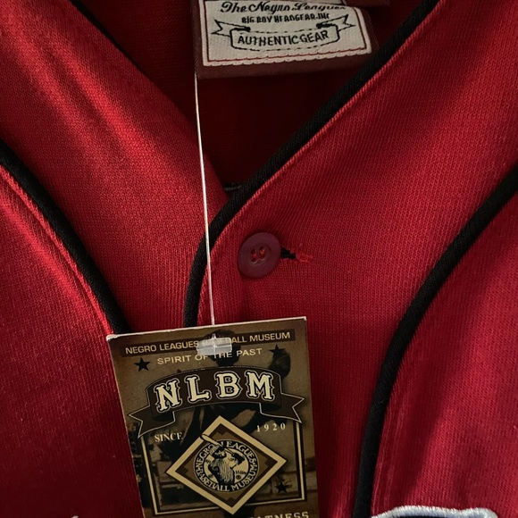 BIRMINGHAM BLACK BARONS BASEBALL JERSEY - Picture 8 of 9